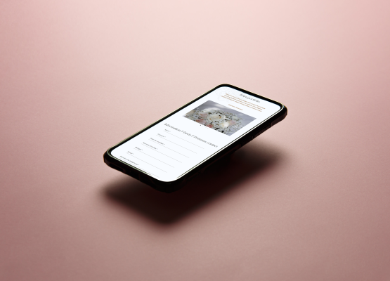 Réalisation de l'interface mobile du site Dewo.fr